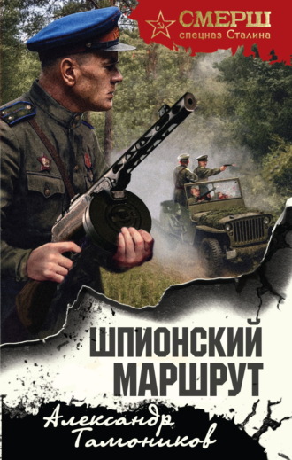Александр Тамоников, Шпионский маршрут